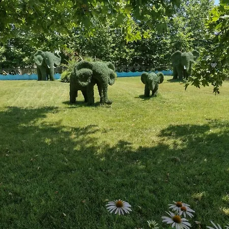 Messembria Palace Bulgaria * Slăntjev Brjag