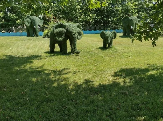 Messembria Palace Bulgaria * סאני ביץ'