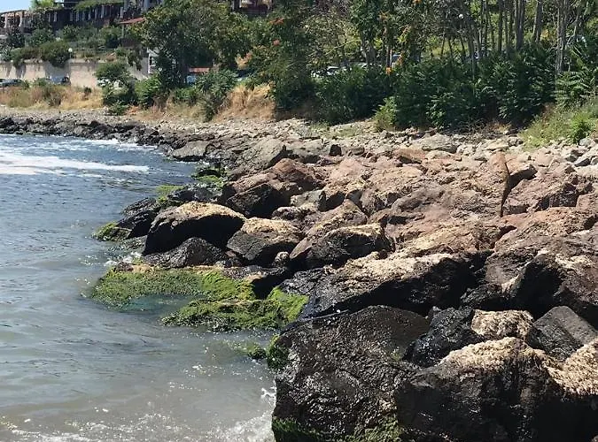 Messembria Palace Bulgaria 阳光海滩